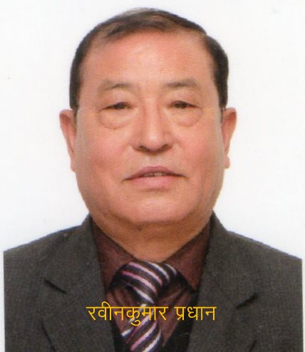 Sri Rabin Kumar Pradhan